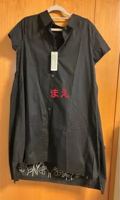 Item thumbnail for item 038ac451-f0d2-453b-b412-311d607eb1d0