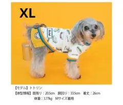 犬服-D's Chat-ディーズチャット サンドイッチ柄タンク オフホワイトXL