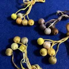 Item thumbnail for item ce2975f9-23c4-4fb6-a4af-405c6cd6558f