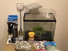 GEX ガラス水槽 約30cm 飼育セット
