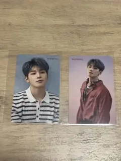 舞い落ちる花びら HMV ウォヌ