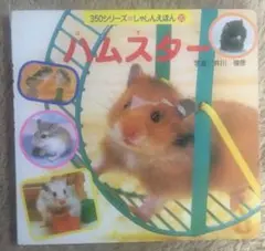 k*o様 350シリーズしゃしんえほん 3冊セット - メルカリ