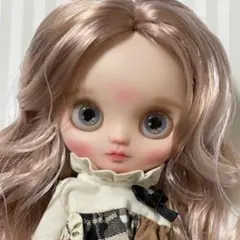 2025年最新】アイチップ ミディブライスの人気アイテム - メルカリ