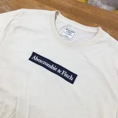 Abercrombie & Fitch　刺繍ロゴ　半袖　Tシャツ　ベージュ　L