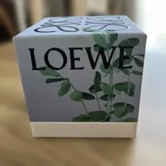 loewe ロエベ キャンドル マッシュルーム 170g - メルカリ