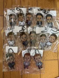 数原龍友　クリアチャーム　13点セット
