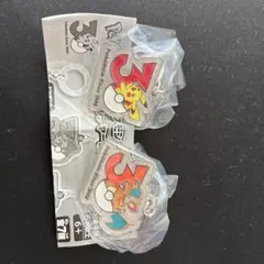 ポケモン メタルチャーム 30周年 ピカチュウ リザードンセット　Pokémon