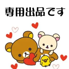 STK55様 リクエスト 2点 まとめ商品