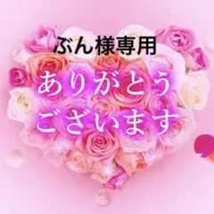 ぶん様専用