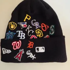 NEWERA MLBチームロゴ刺繍 ビーニー帽子