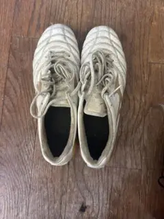 ミズノモナルシーダー26.5