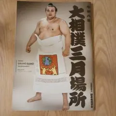 大相撲三月場所 パンフレット大阪表紙大関安青錦 令和8年 2026 - メルカリ