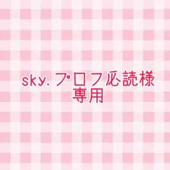 sky.プロフ必読様専用