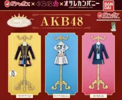 akb48 トルソー