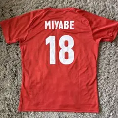 バレーボール女子日本代表 2026応援Tシャツ 集合プリントサイン入り（L