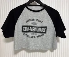 DAZY クロップドTシャツ　M