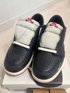 Nigel Sylvester Nike Air Jordan 1 ナイジェル