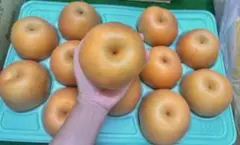 梨 10kg 玉常温発送 - メルカリ