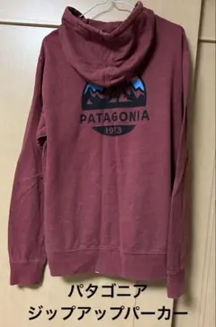 Patagonia オーガニックコットン パーカー Mサイズ