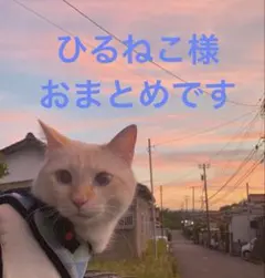 ひるねこ様 リクエスト 2点 まとめ商品