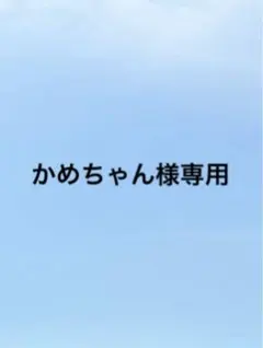 社交ダンス★ジャンティGH ドレス★ビリヤードグリーン★サイズM★新品未使用品 社交ダンス gentil ジャンティ ドレスバッグ 大 SD スタンダード