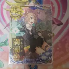 艦これアーケード アイオワ 改 ホロ - メルカリ