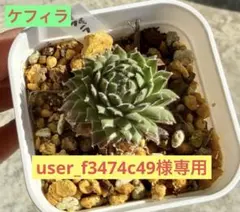 user_f3474c49様 リクエスト 3点 まとめ商品