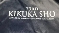 2012 菊花賞　ナイロンジャケット　勝ち馬　ゴールドシップ