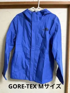 お値下げ！THE NORTH FACE GORE-TEX ジャケット ブルーM