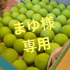まゆ様専用ページです(⁠^⁠^⁠)