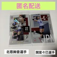バレーボール 日本代表 北窓絢音選手　関菜々巳選手 2枚セット