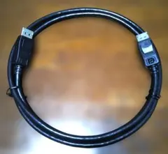 ⭐️セール！⭐️HOTRON「両端 ディスプレイポートケーブル 1.5m」ＤＰ