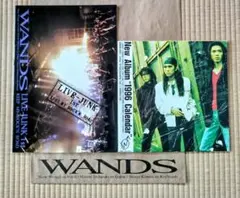 WANDS 写真集 BOLD 2024 LIVE PHOTO BOOK - メルカリ