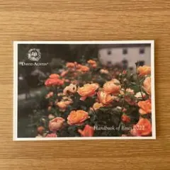 デビッド・オースチン Handbook of Roses 2022