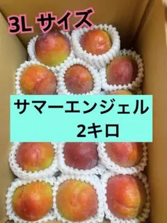 サマーエンジェル3Lサイズ 大　2キロ 分　贈答用のサムネイル
