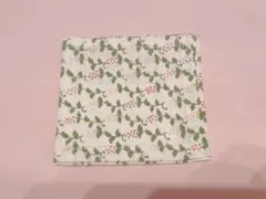 Item thumbnail for item f06410bc-c491-452e-95aa-f1f3b4568bb6