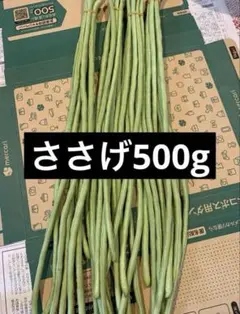 自宅栽培　ささげ　500gのサムネイル