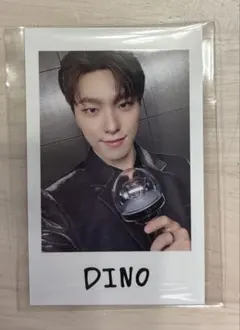 SEVENTEEN RIGHT HERE インスタントフォト　ディノ