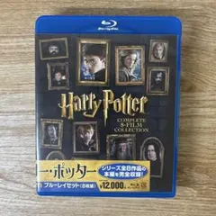 Item thumbnail for item 91e6755b-da2d-4bbb-beae-96c26d9c4096