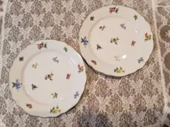 フッチェンロイター　プレート2枚のサムネイル