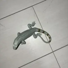 ヤモリ フィギュア 爬虫類 リアル