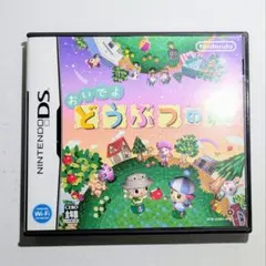 動作確認済み★ケース付き★おいでよ どうぶつの森