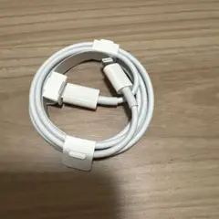 iPhone 充電器 純正 タイプCライトニングケーブル Apple正規品