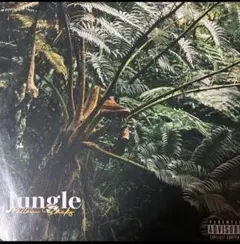 2026年最新】¥ellow bucks jungleの人気アイテム - メルカリ
