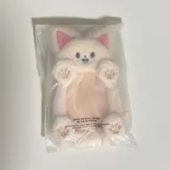 フォクシニー トレカケース アイエン スキズ straykids skzoo