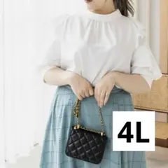 フリルネックブラウス