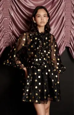 新品タグ付◉ Swing Spot Organza Mini Deressのサムネイル