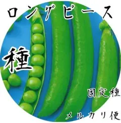 ロングピースの種　【固定種】　メルカリ便で届く種①