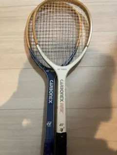 Item thumbnail for item 17ec313e-a765-4756-9bd6-d939194cc641