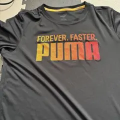 Item thumbnail for item 8775ef69-4d19-4b3b-a35d-d1a433fd6d4a